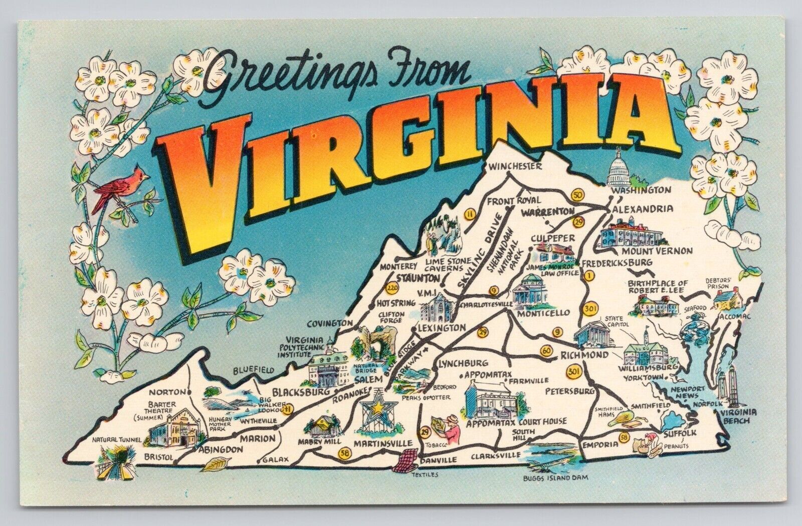 Greetings From Virginia Postcard 1722