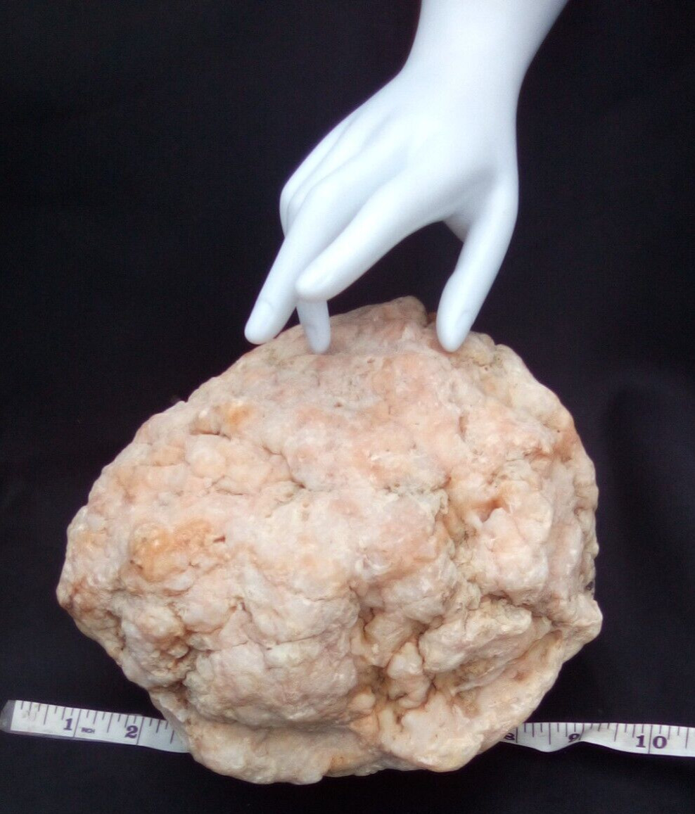 11.1LB Very Large Whole Kentucky Geode Rare Crystal Quartz Unique Gift 8 Inch