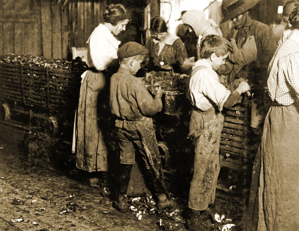 1913 Young Boys Shucking Oysters, SC Old Photo 8.5\