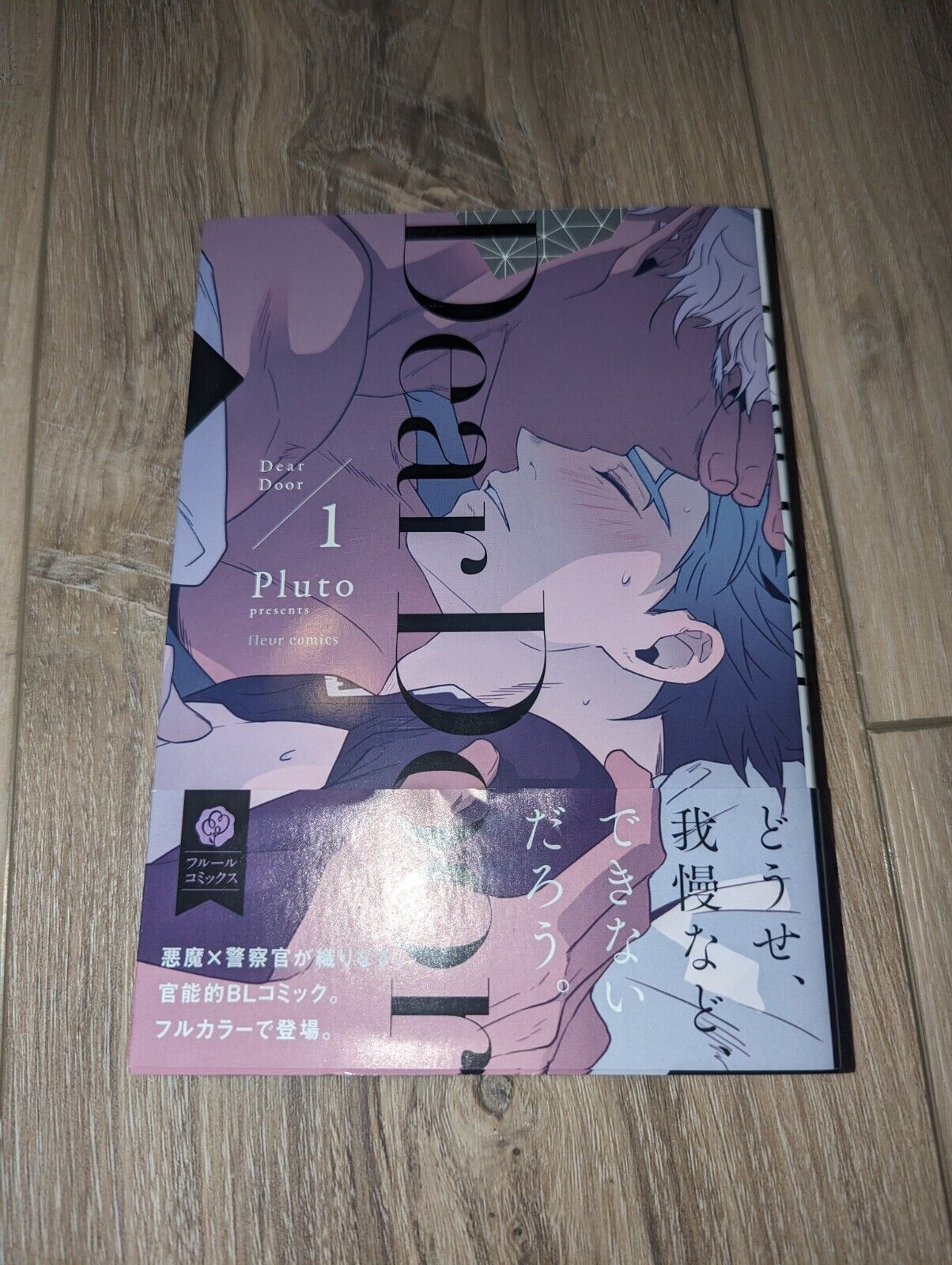 Dear Door Japanese Manga Full Color BL Fleur Comics Pluto Deardoor Kodokawa V.1