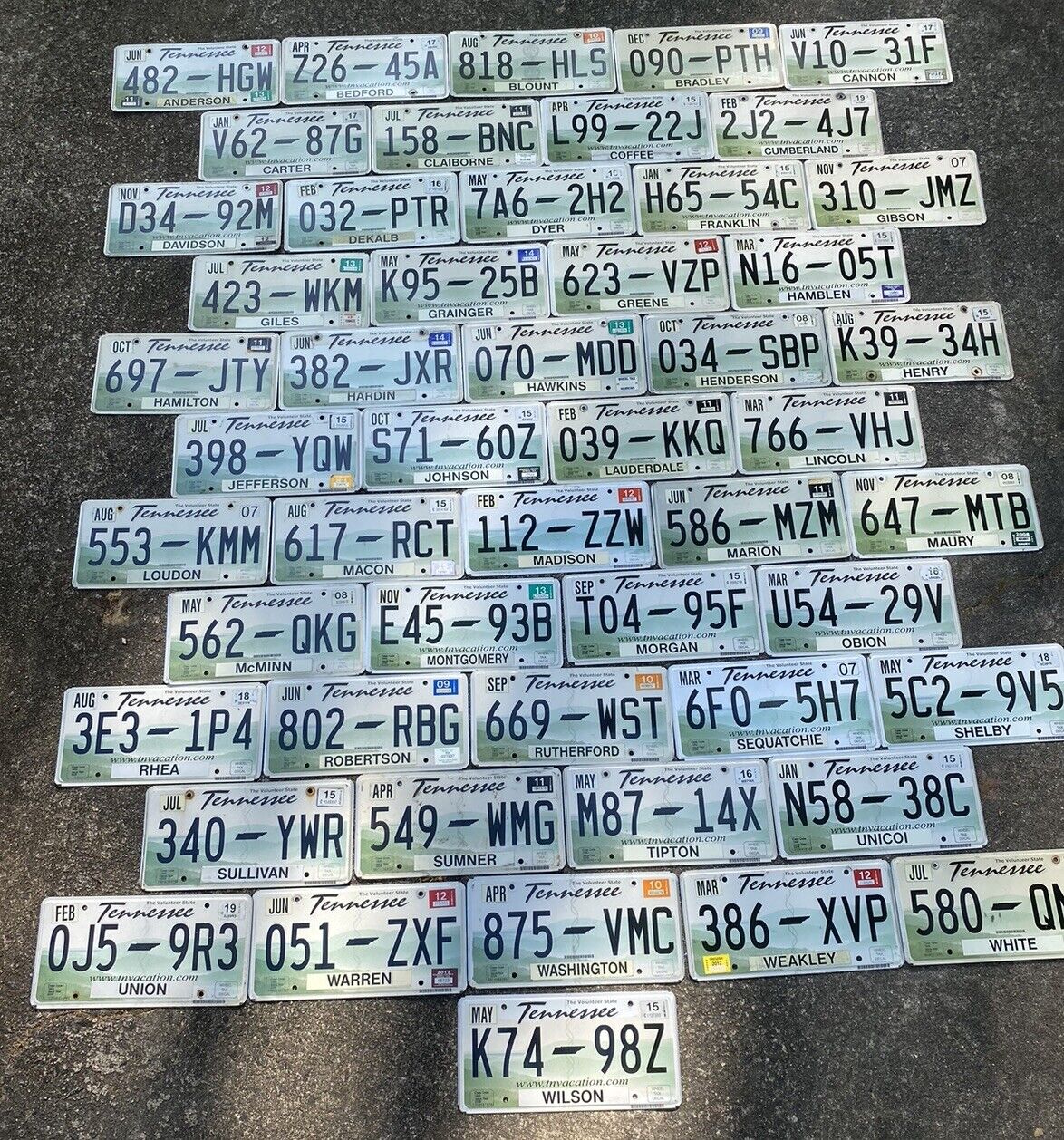lot of 51 Tennessee license plates - all different counties
