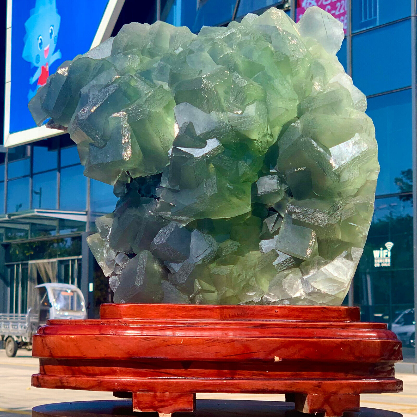27.5LB Natural transparent green cubic fluorite mineral crystal sample/China