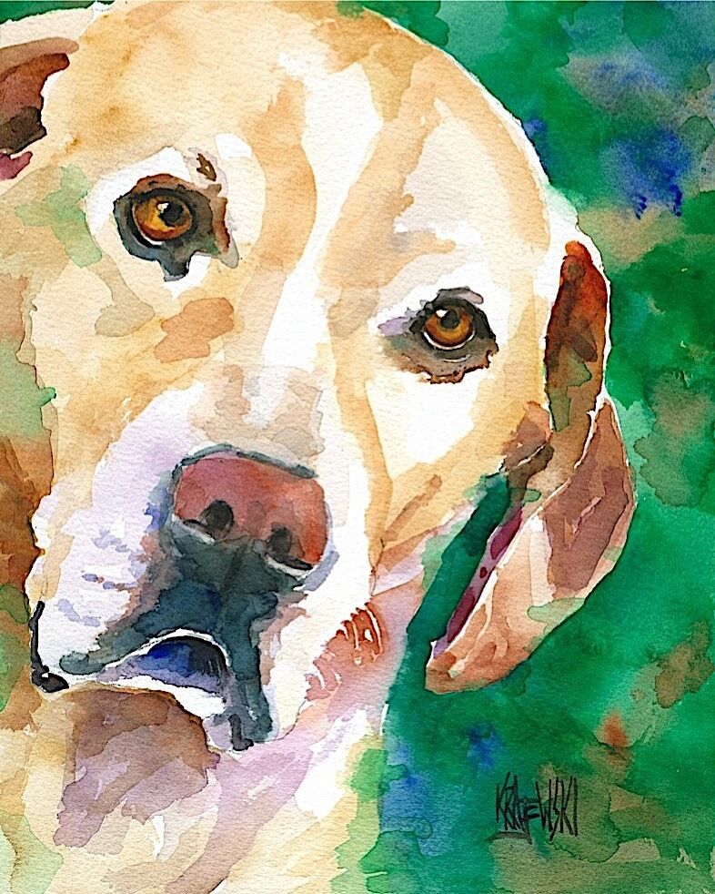 Labrador Retriever Art Print from Painting | Yellow Lab Gifts, Watercolor 8x10