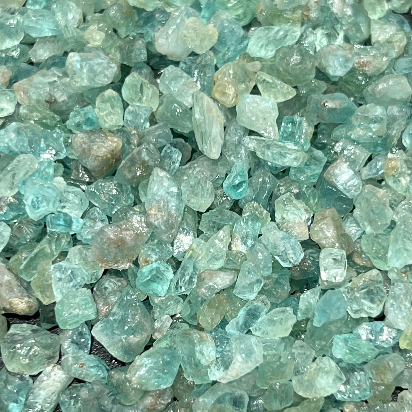 Apatite Crystals Small Chips One Pound Bulk Wholesale Lot Tiny Raw Natural