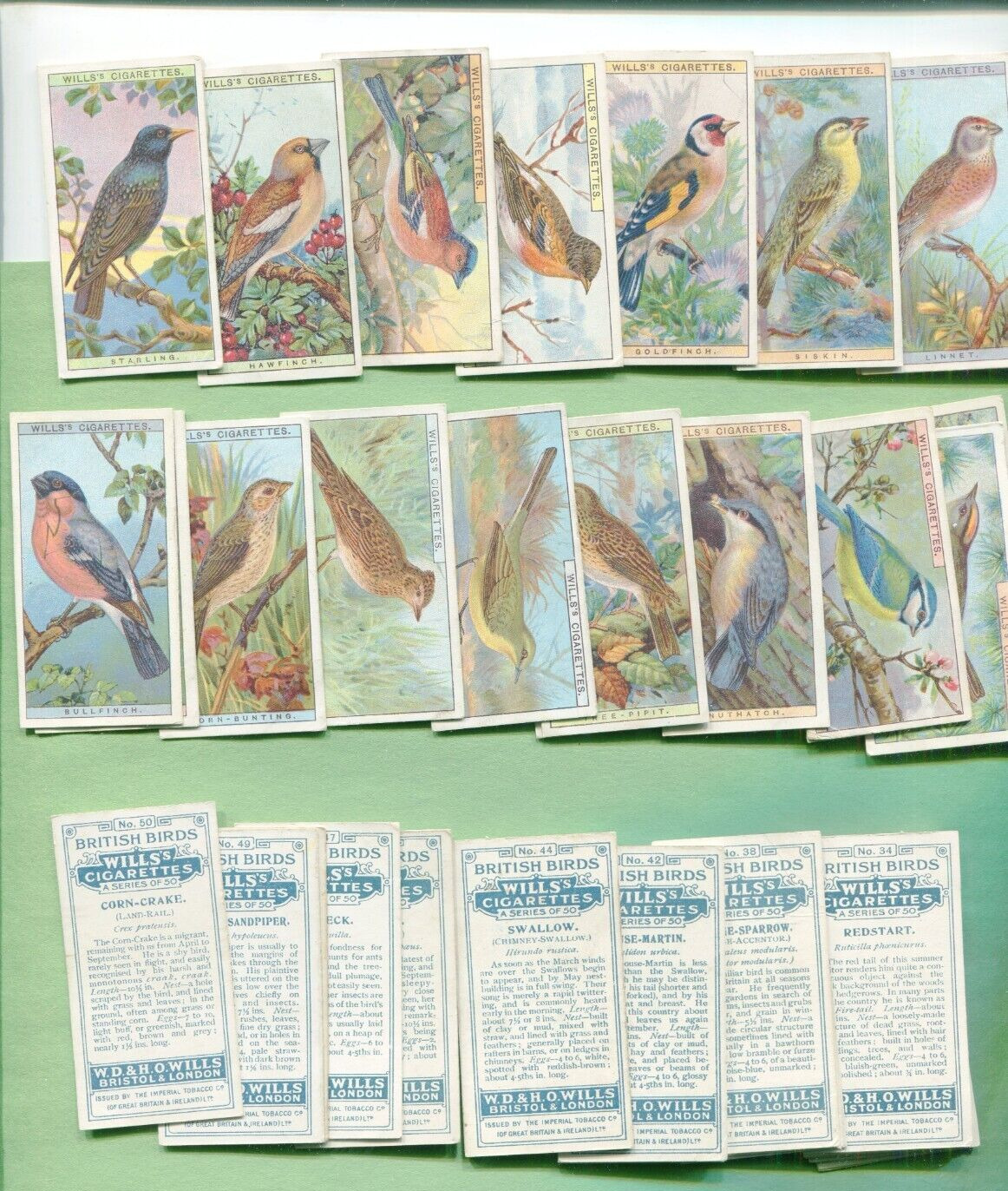 1915 W.D. & H.O. WILLS CIGARETTES BRITISH BIRDS 50 DIFFERENT TOBACCO CARD SET
