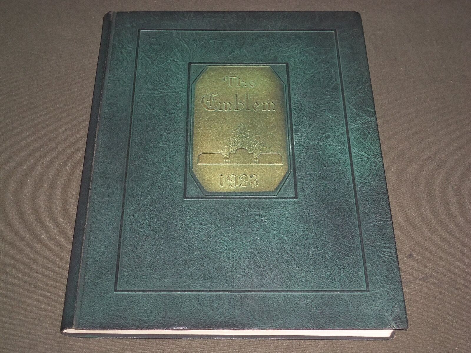1923 THE EMBLEM CHICAGO NORMAL COLLEGE YEARBOOK - ILLINOIS - PHOTOS - YB 1134