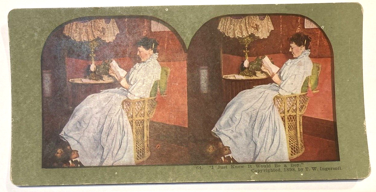 Antique Stereoview Card No 64 I Just Knew It Would Be A Boy Green Border