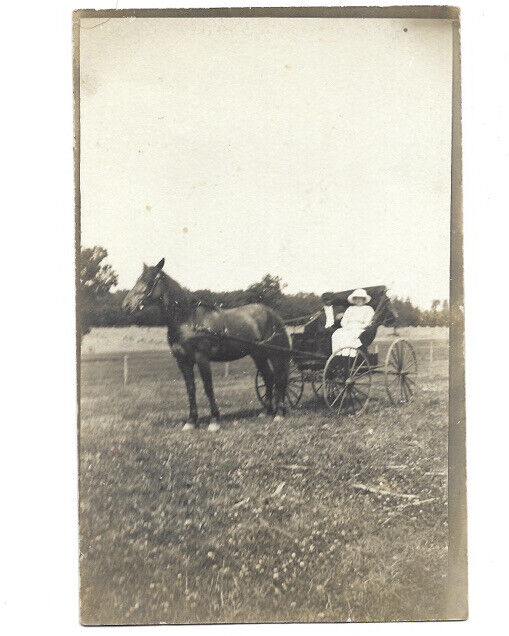 c.1900s Couple In Wagon With Beautiful Horse RPPC Real Photo Postcard UNPOSTED