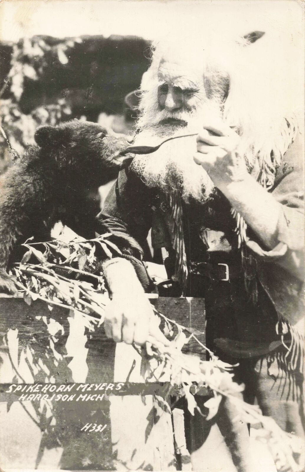 CEN Harrison Clare MI c.1950s LEDGENDARY OLD SPIKEHORE MEYER Feeding Bear Cub