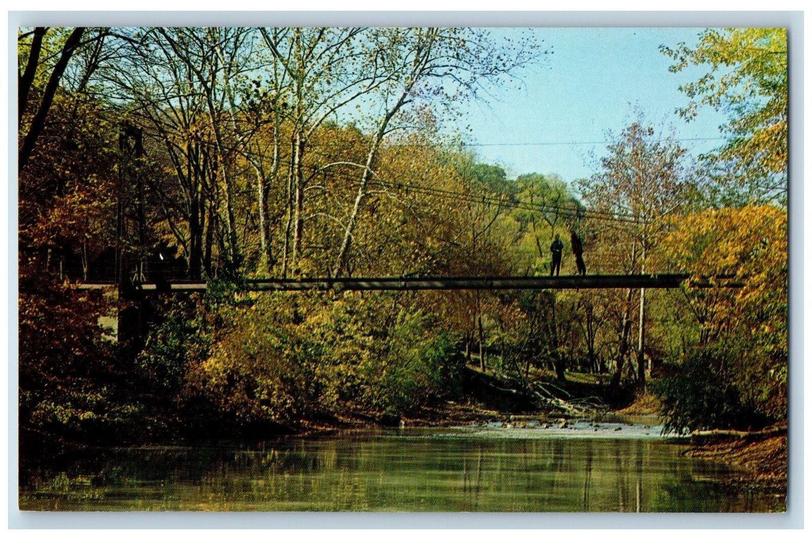 Patapsco State Park Maryland MD Postcard Swinging Bridge Scene c1960s Footbridge