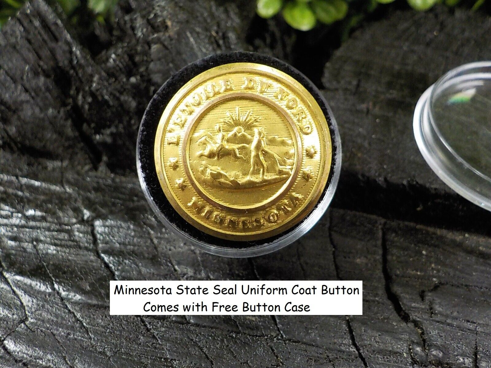 Old Rare Vintage Antique War Relic Minnesota State Seal Uniform Button