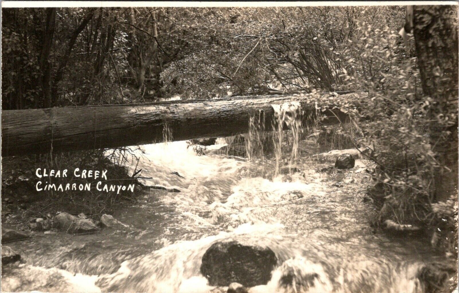 Clear Creek Cimarron Canyon New Mexico RPPC