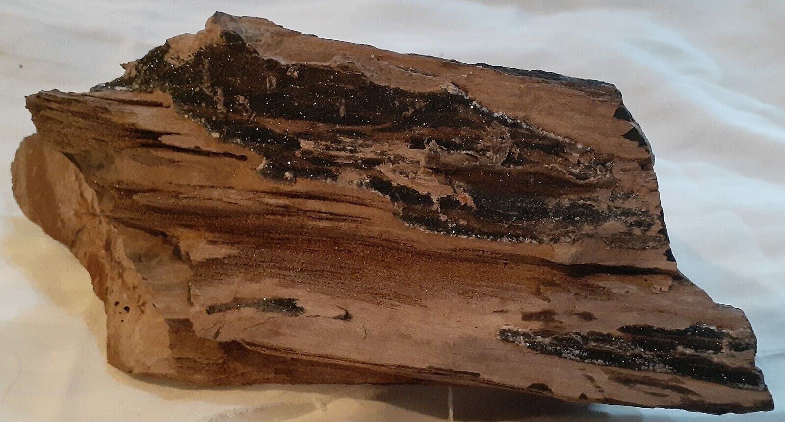 Texas Petrified Wood Brilliant Black Crystal Log Formation Fossil (set of 2)