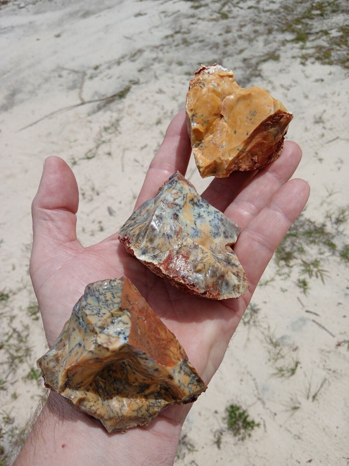 Lot of 3 Rough Australian Dendrite Opal Mineral Specimens 1 Pound Beautiful D2