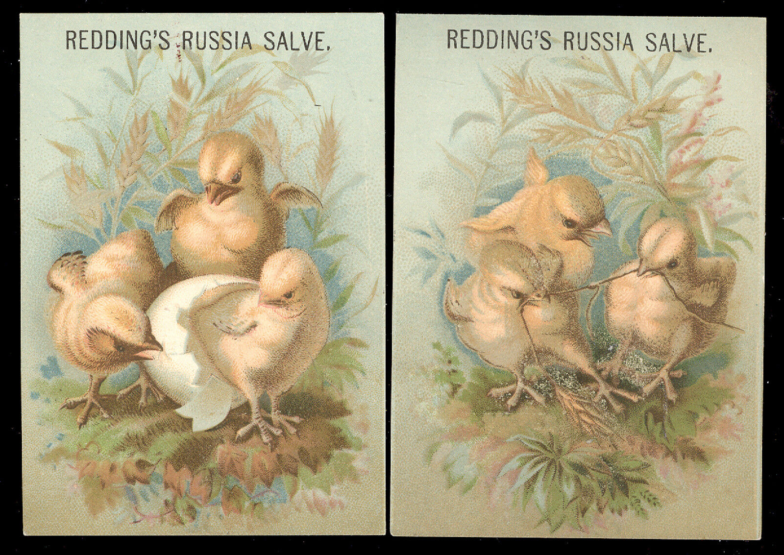 1879 ~ 2 MATCHING REDDING\'S RUSSIA SALVE, CURE FOR ALL FOR HOMES or STABLES  Z33