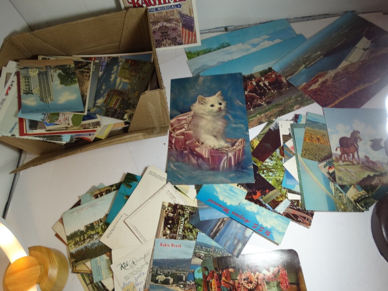 Vintage Postcard Lot Nice Size Ephemera LArge and Regular Sized +Greeting Cards