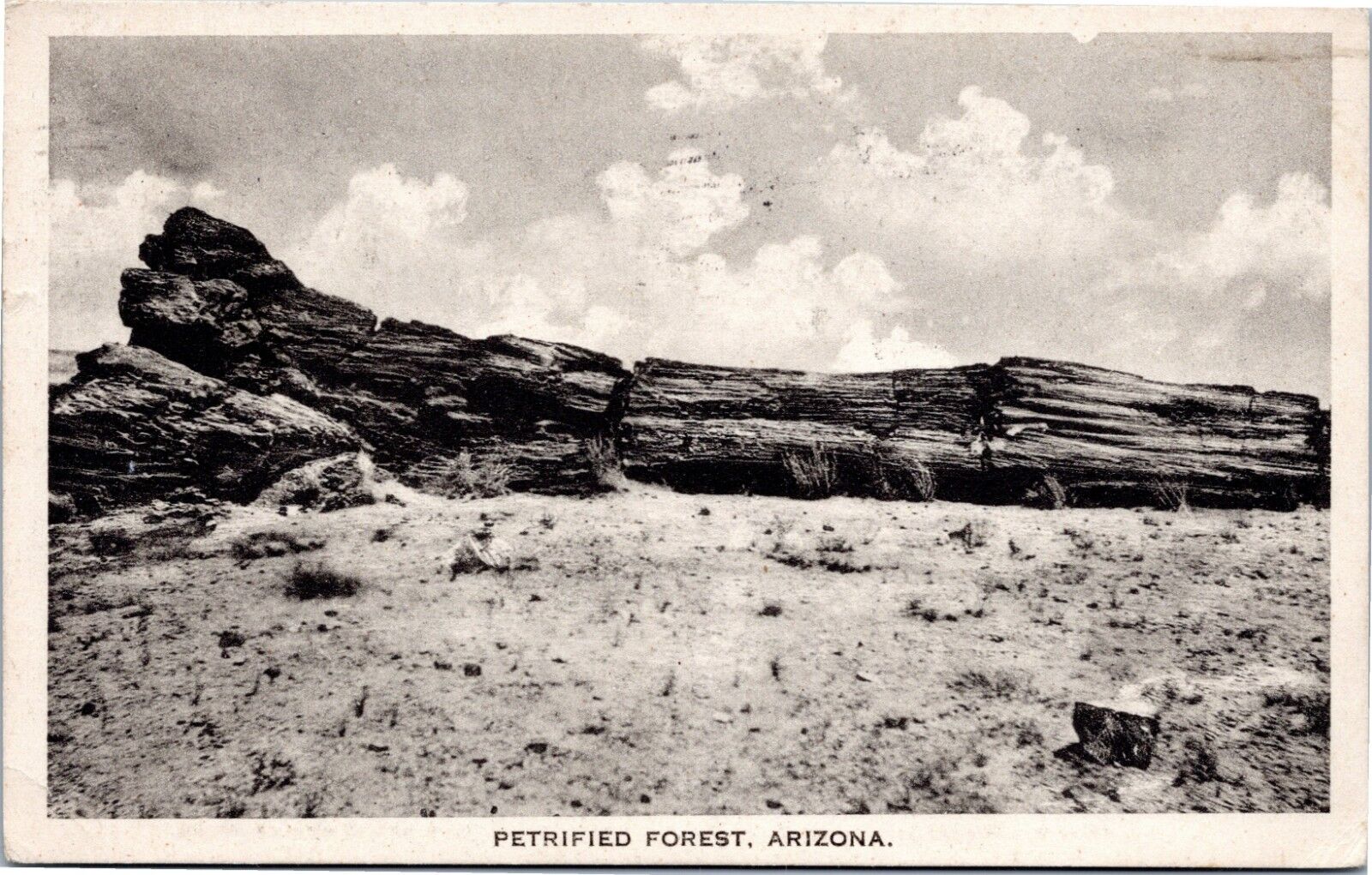 postcard - Arizona - Petrified Forest - posted 1924