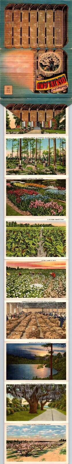 Greetings From Dixieland Folding Postcard Souvenir Folder c1940s 18 Views AE26