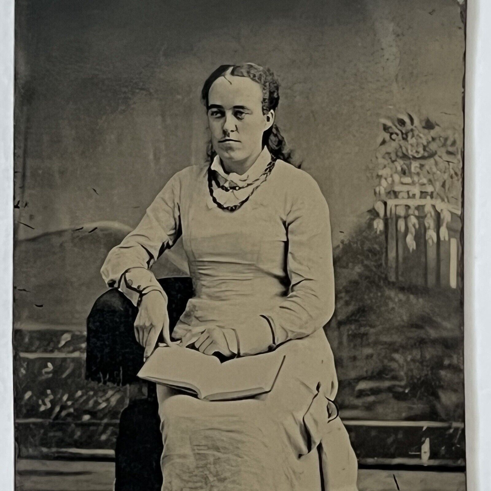 Antique Tintype Photograph Beautiful Fashionable Smart Young Woman Book