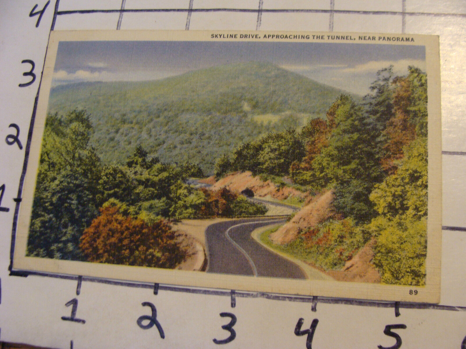  Unused Postcard: VIRGINIA #89 skyline drive APPROACHING THE TUNNEL NEAR PANORAM