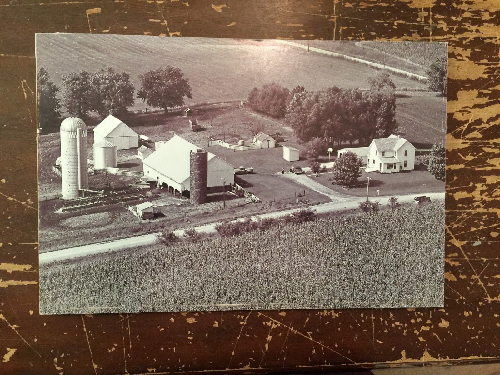 Aerial View Farm Black & White Digital Photograph Mounted On Board 18\