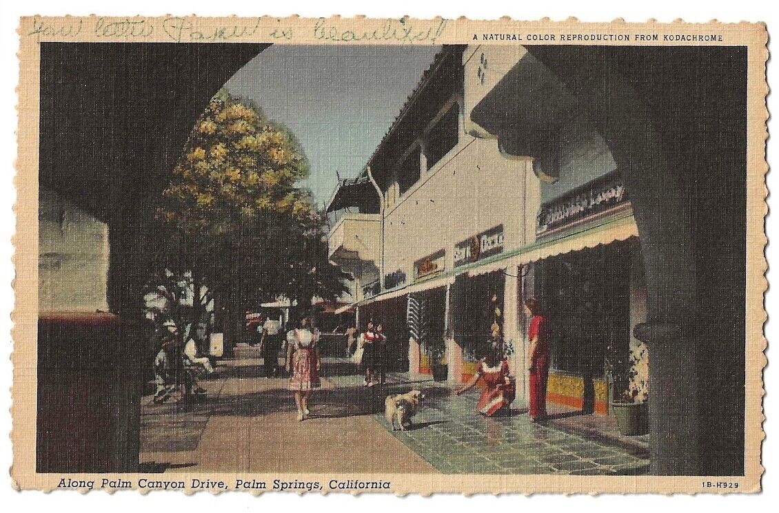 Palm Springs California c1940\'s Palm Canyon Drive shops, dog, business district