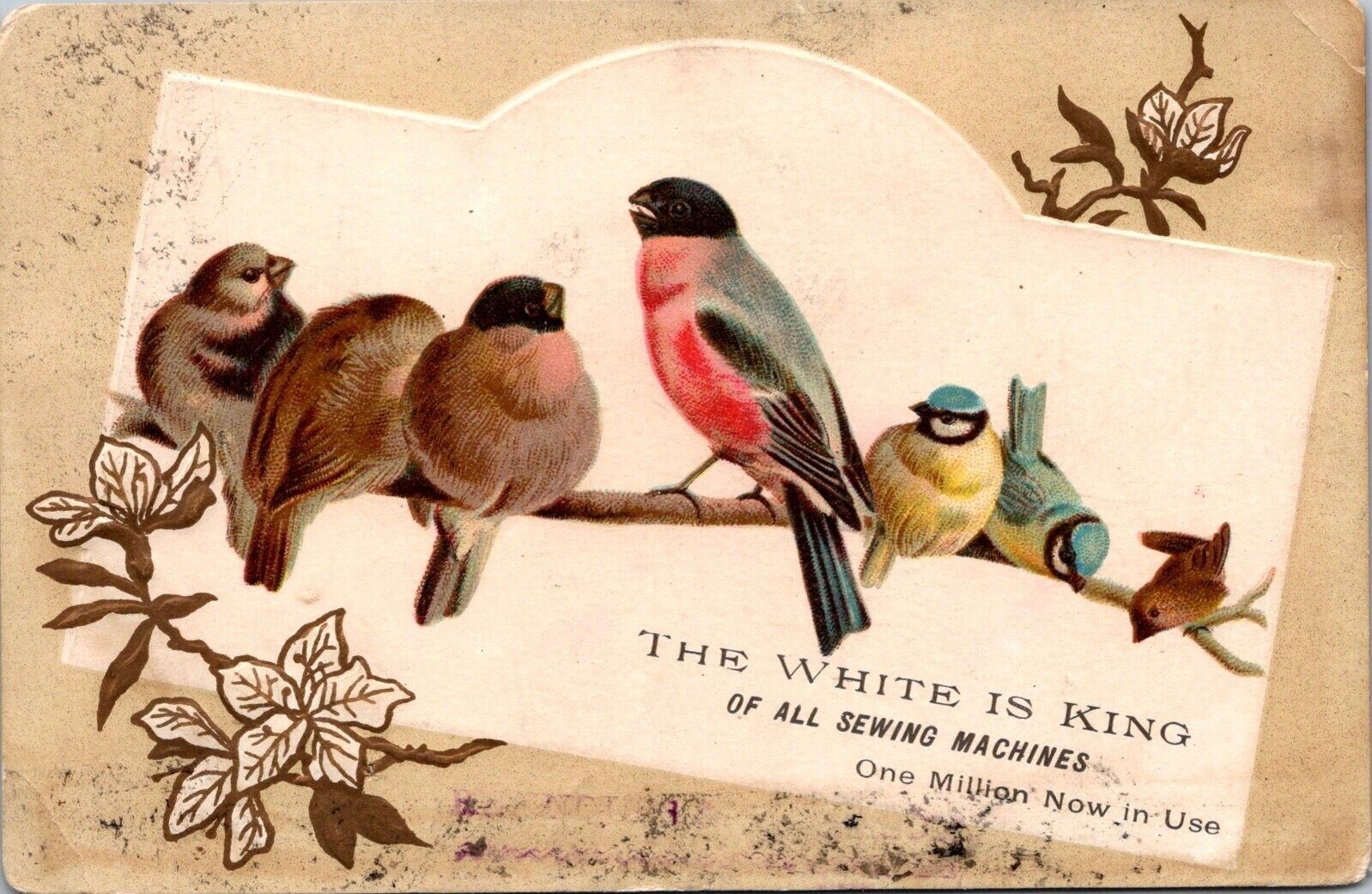 White Sewing Machines Victorian Trade Card Birds on Branch 1880s