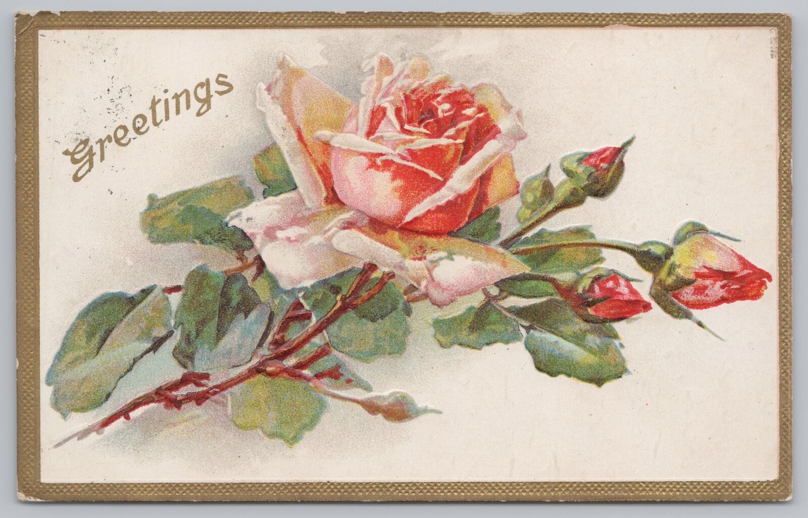 Greetings~Roses On White Background~Gold Border~Embossed~Postmarked~Vintage PC