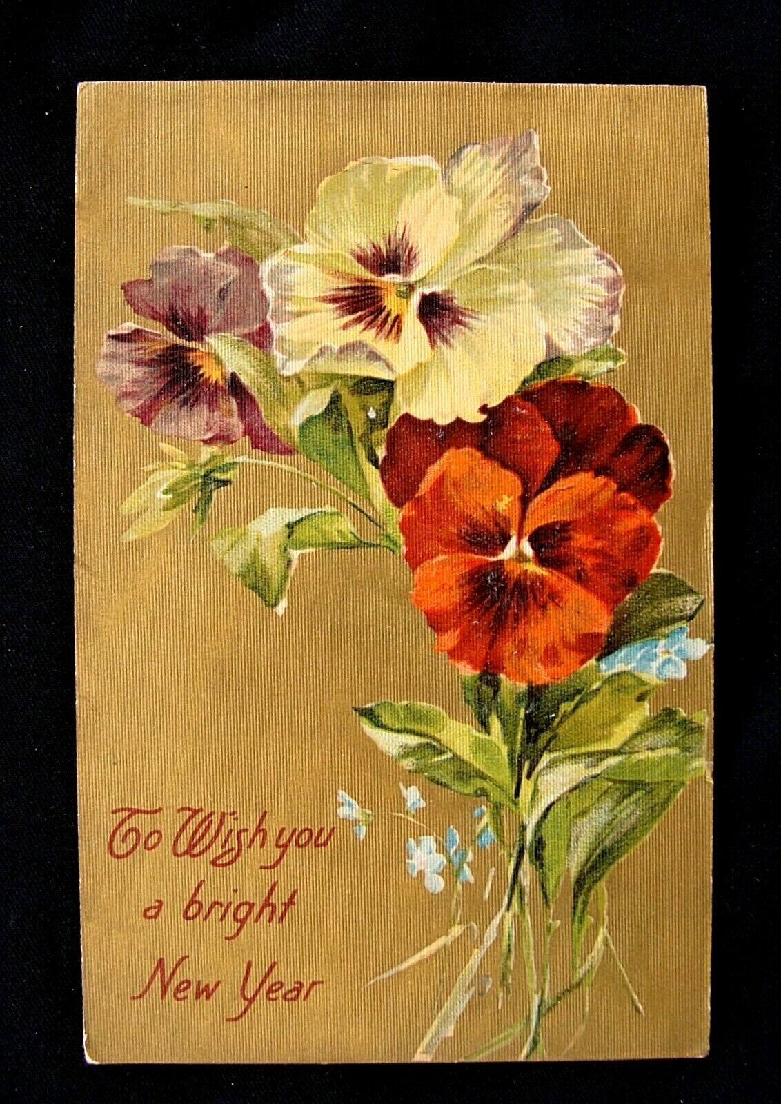 Stunning Colorful Pansys Flowers Winsch New Year Postcard 