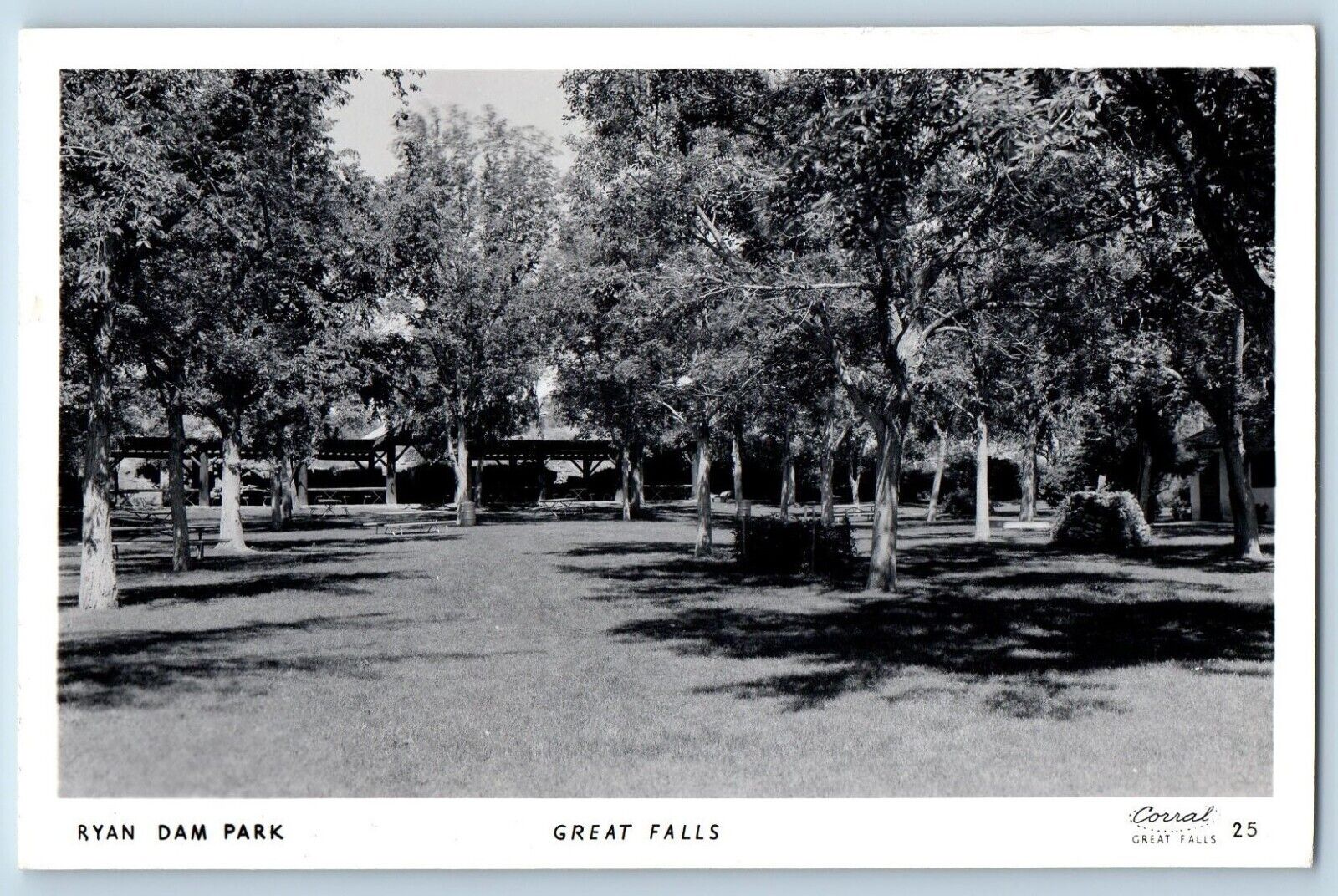 Great Falls Montana MT Postcard RPPC Photo Ryan Dam Park View c1940\'s Vintage