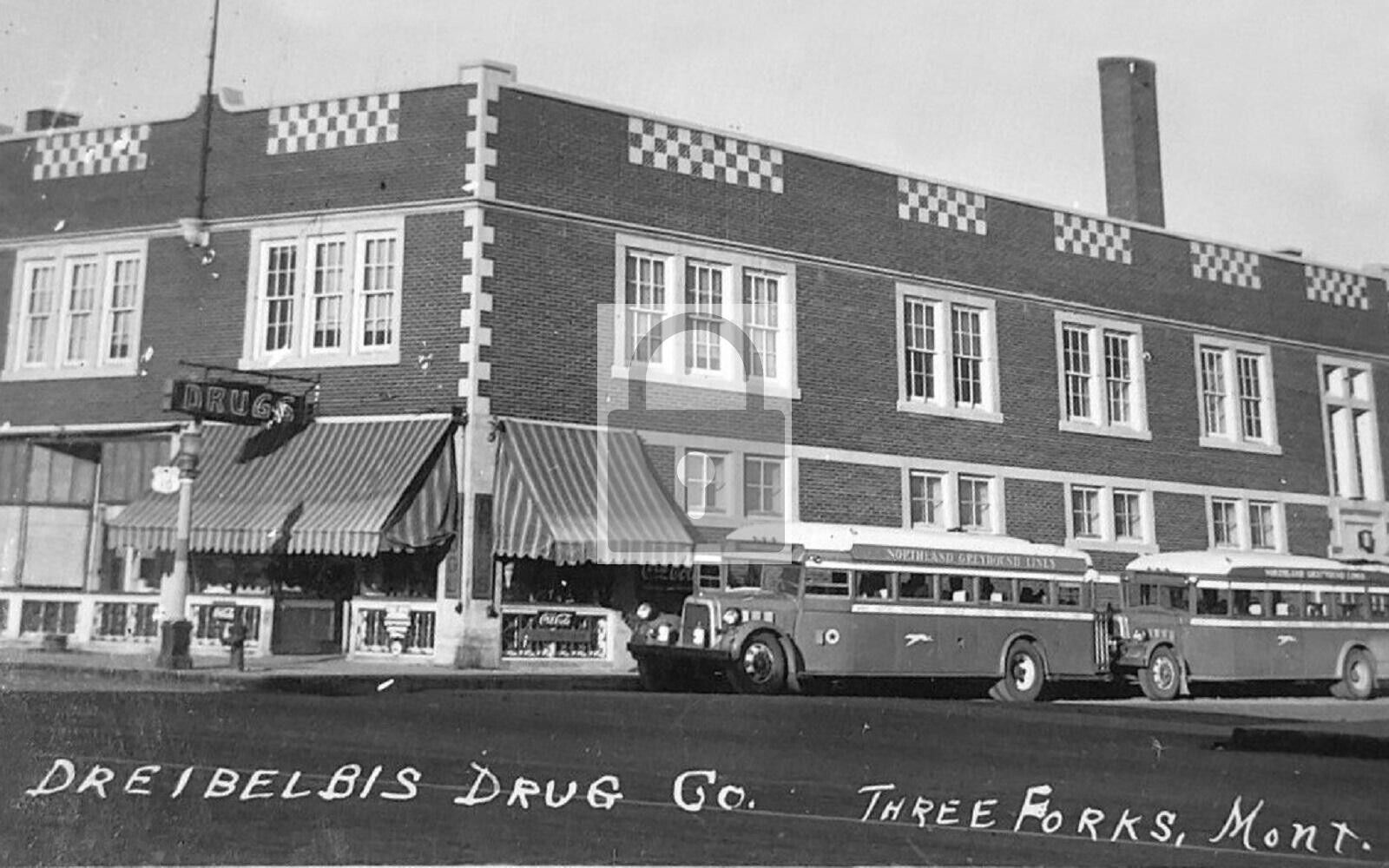 Dreibelbis Drug Store Greyhound Bus Three Forks Montana MT Reprint Postcard