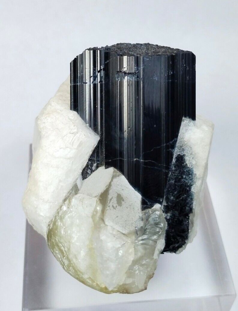 Large Black tourmaline Crystal with Phlogopite and Albite pretty Piece-Afghanstn