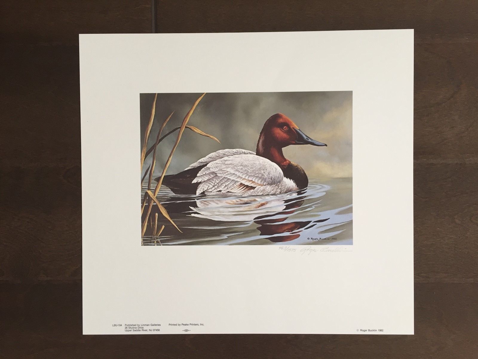 Maryland Duck Color Print w/stamp-Signed by Roger Bucklin-1982