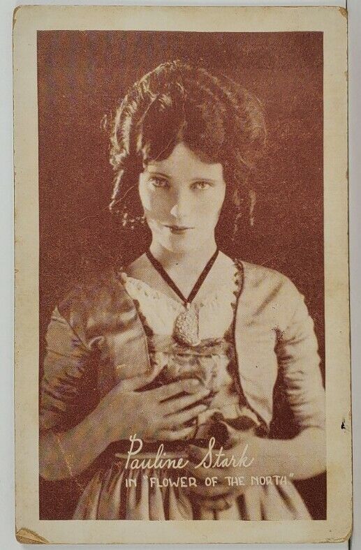 1920s Actress PAULINE STARK in Flower of the North Postcard Q3