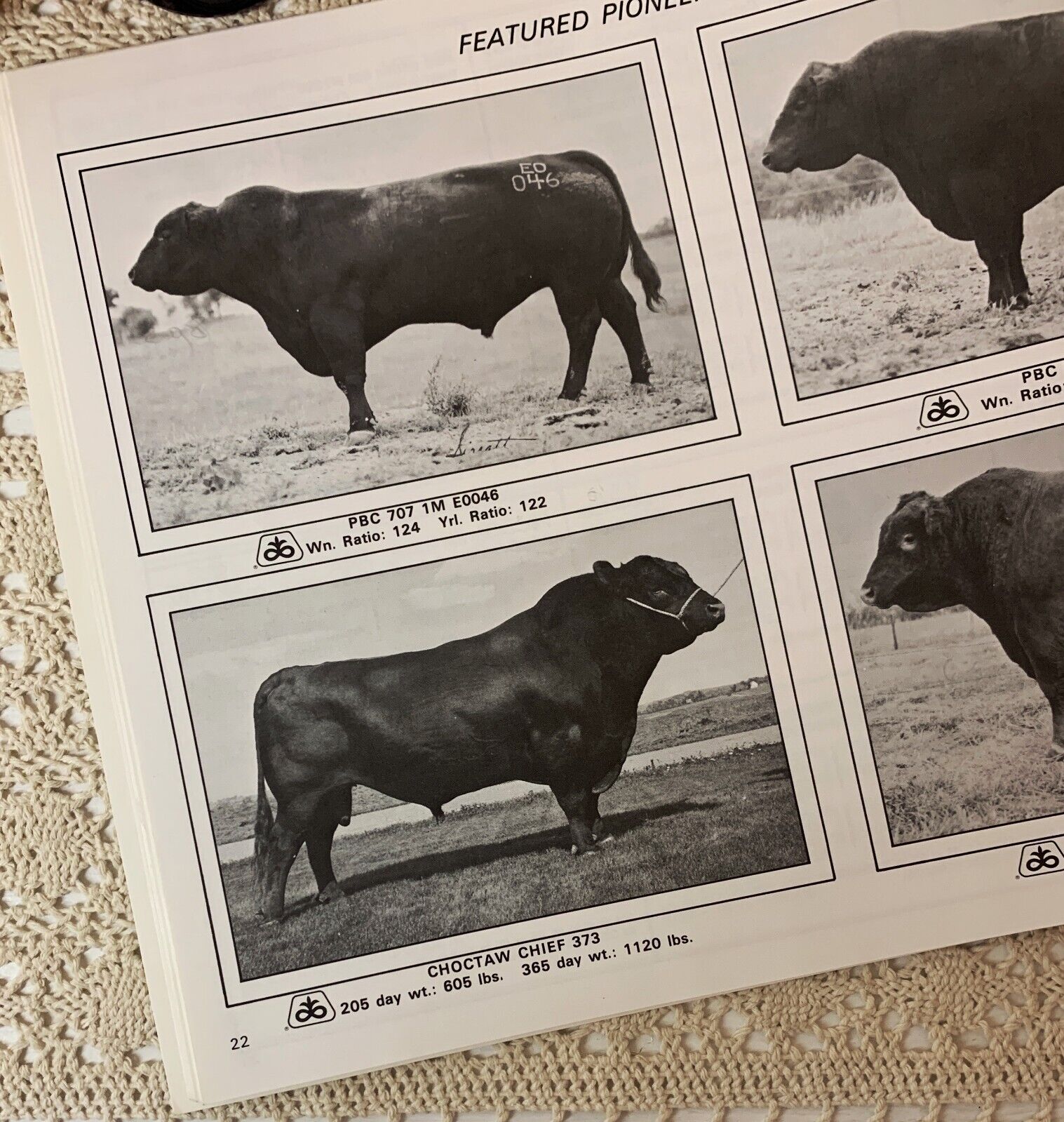 RARE 1977 Pioneer Hi-Bred Beef Cattle Sale Catalog Choctaw Chief 373 Offspring