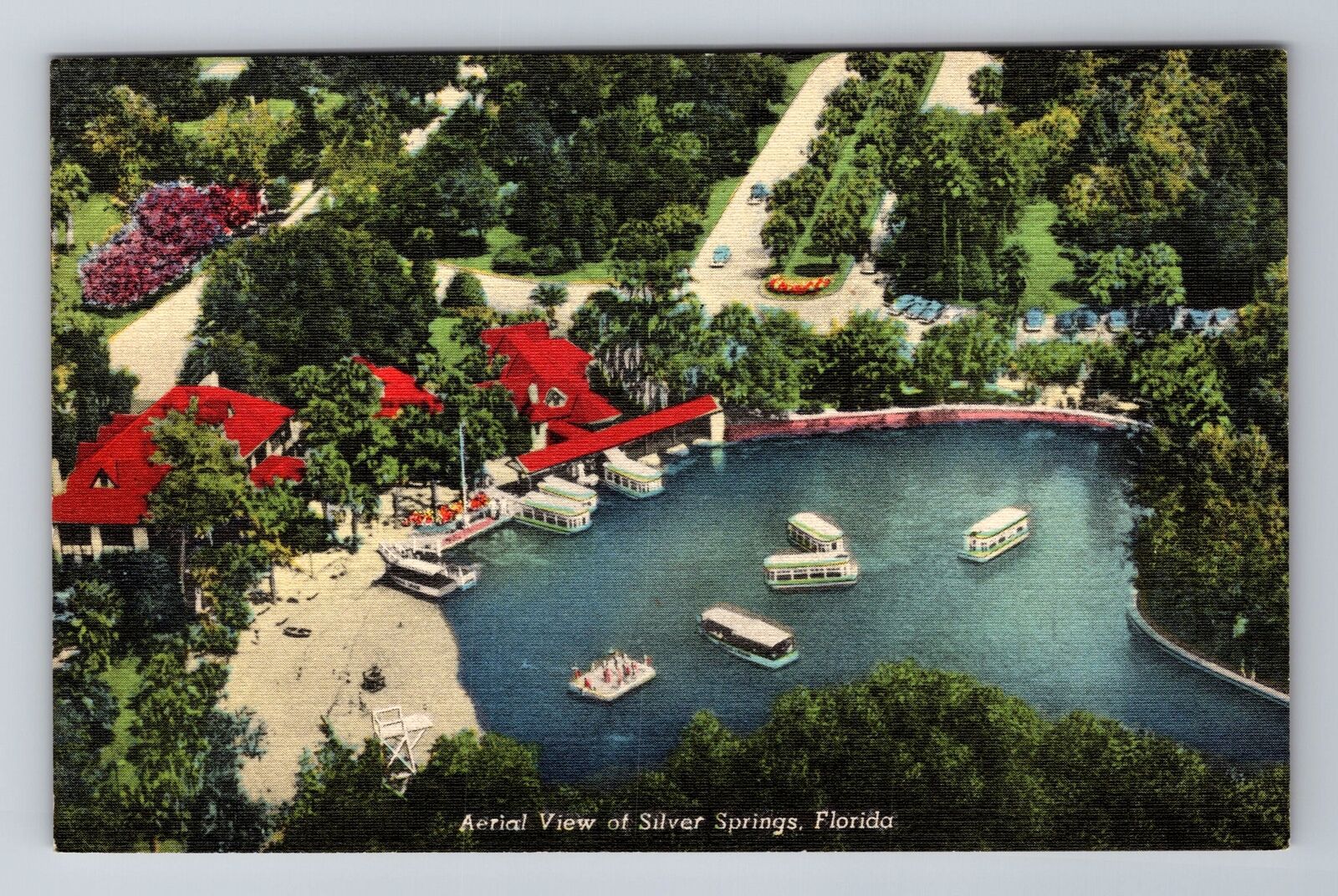 Sarasota FL-Florida, Silver Springs, Advertising, Antique Vintage Postcard
