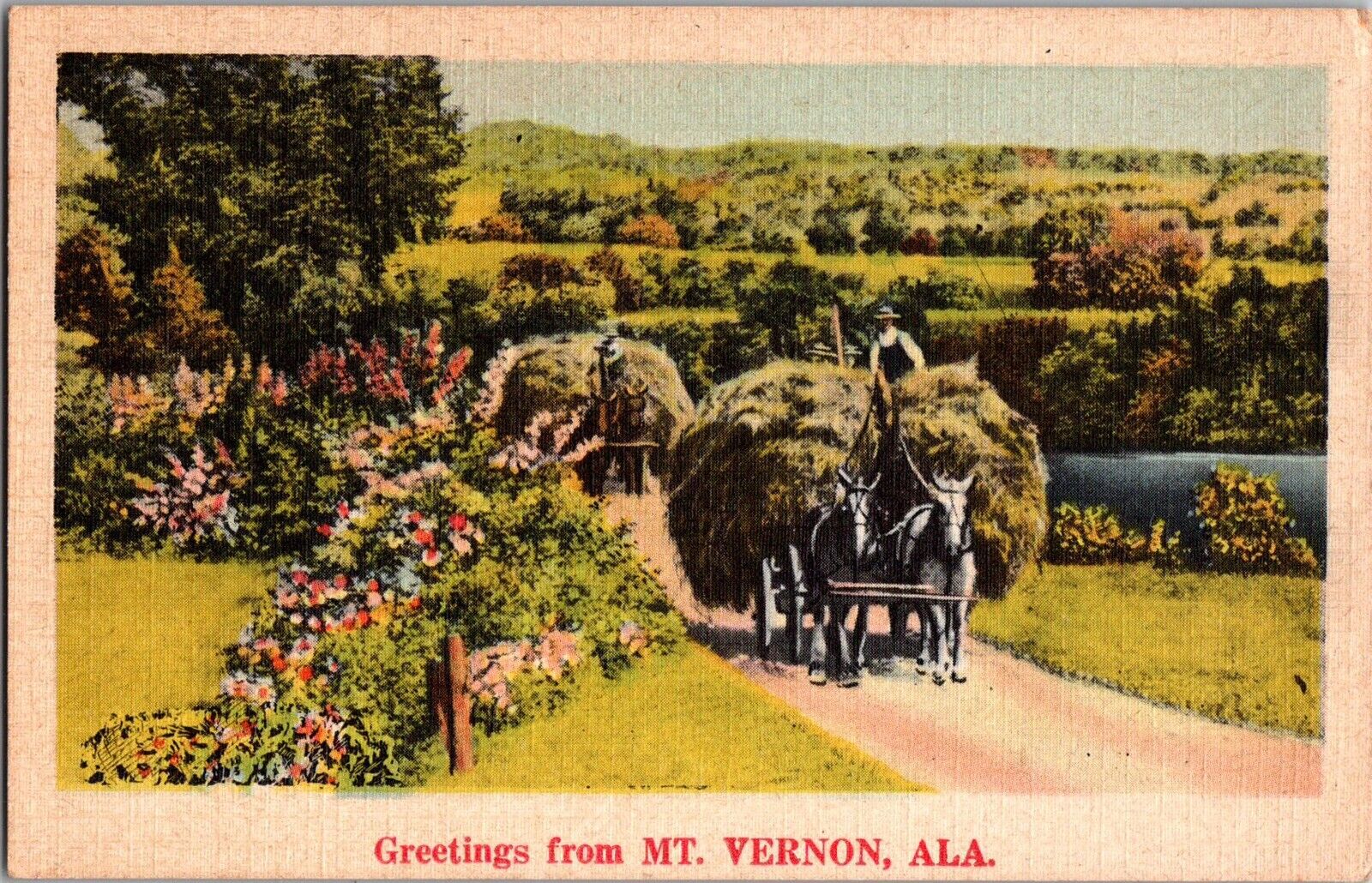 Postcard Greetings From Mt. Vernon,  Alabama (1218)