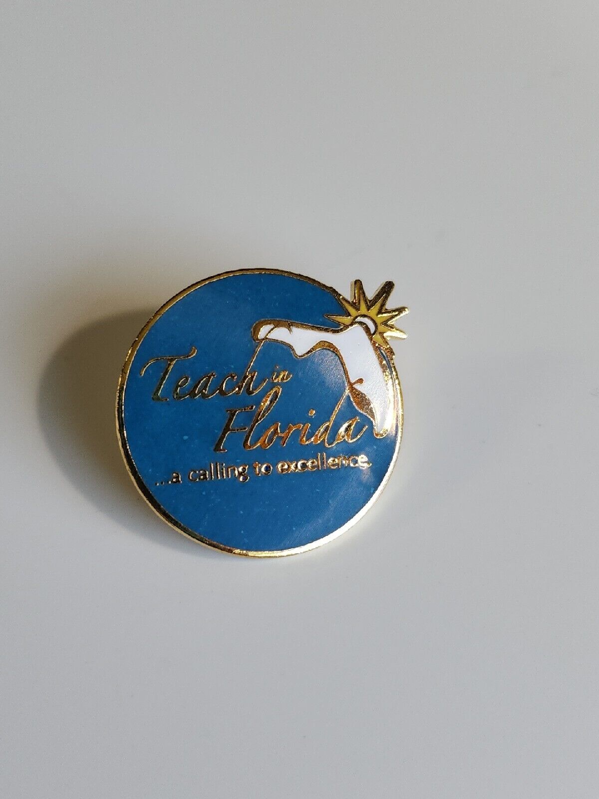 Teach In Florida  A Calling To Excellence Lapel Pin