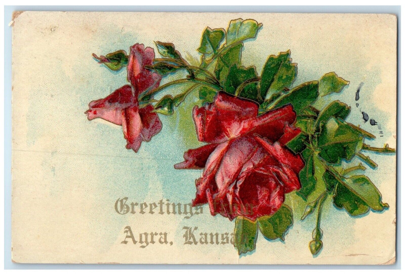 1911 Greetings From Agra Kansas KS Flowers Leaves Roses Vintage Antique Postcard