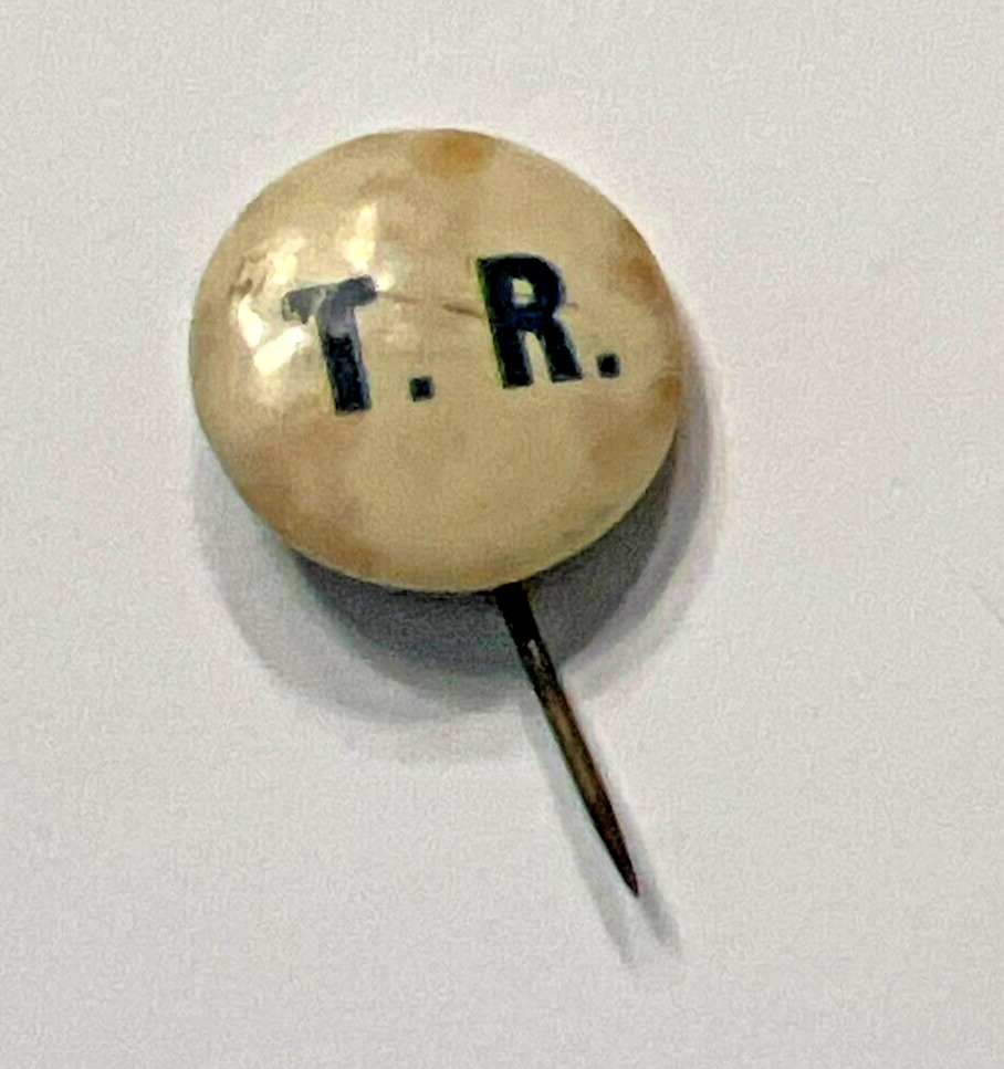 1904 TEDDY ROOSEVELT PRESIDENT theodore campaign pin pinback button presidential