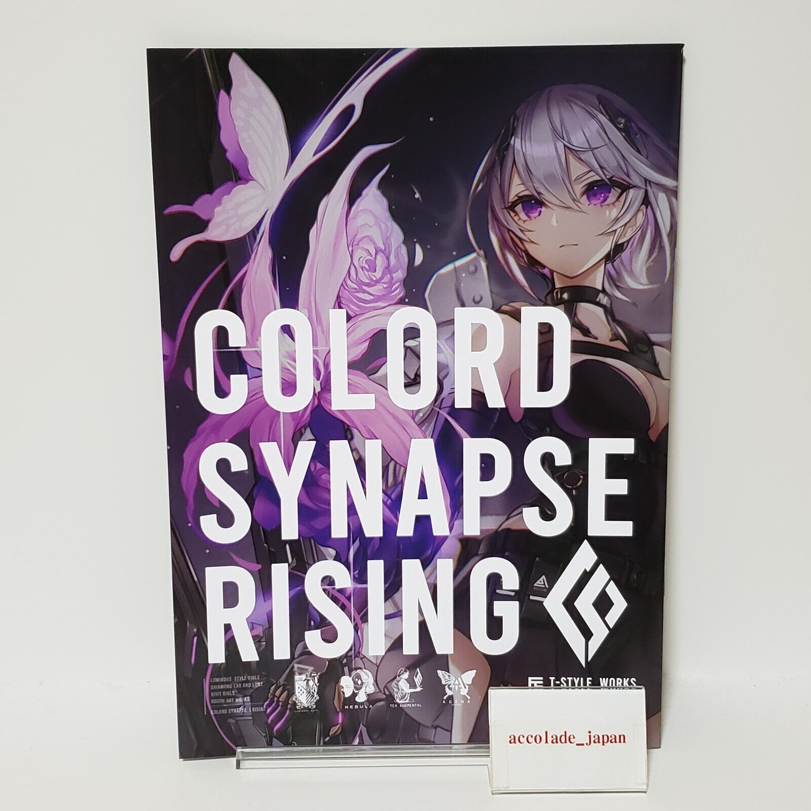 Colord Synapse Rising T-STYLE WORKS Original Art Book A4/28P Doujinshi C101
