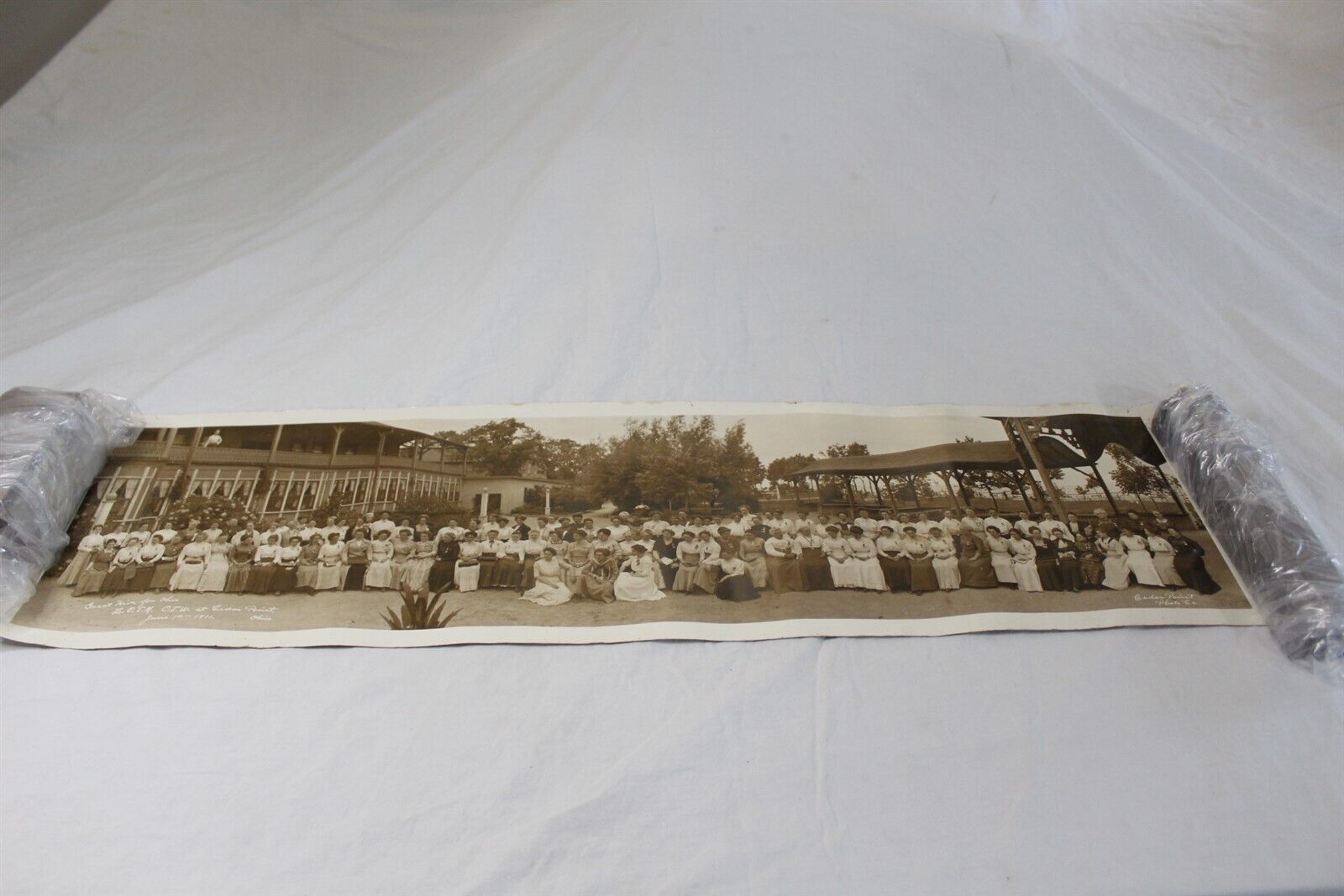 1911 Panoramic Photo Great Hive For Ohio L.O.T.M., O.J.W. At Cedar Point Antique