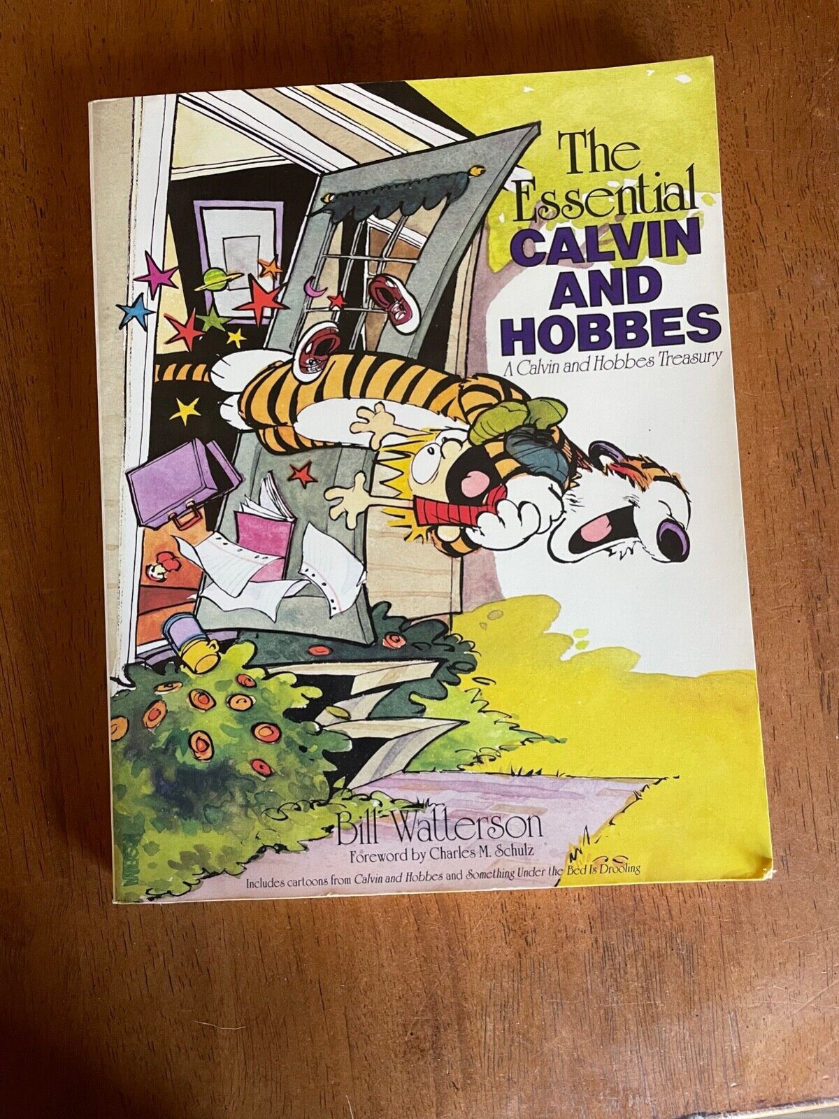 The Essential Calvin and Hobbes - A Calvin and Hobbes Treasury