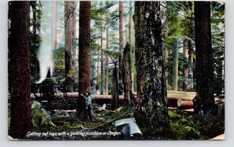 POSTCARD GETTING OUT LOGS WITH A YARDING MACHINE OREGON - 1910