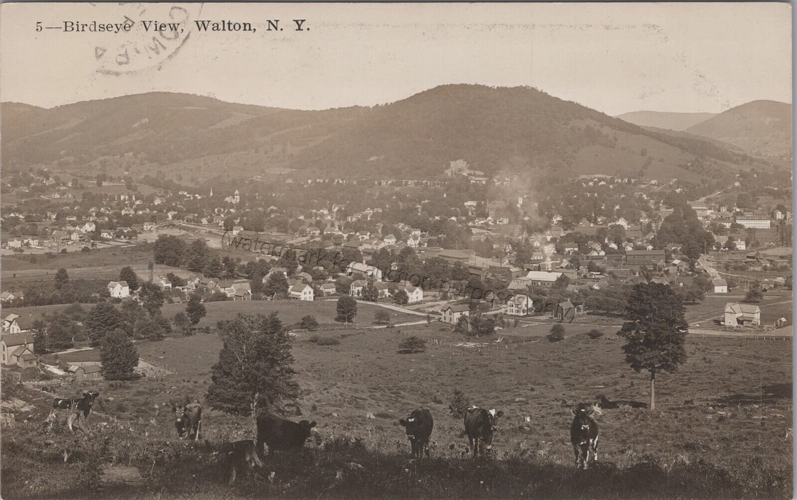Walton, NY: 1910 RPPC Birdseye, Aerial View - Vtg New York Real Photo Postcard
