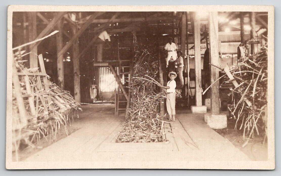 RPPC Interior of Sugar Cane Operation Child Labor Men c1920s Postcard G22