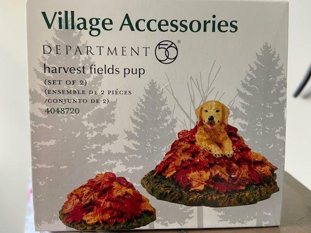 Department 56 Fall Harvest Fields Pups #4048720 Autumn Halloween (FREE SHIPPING)