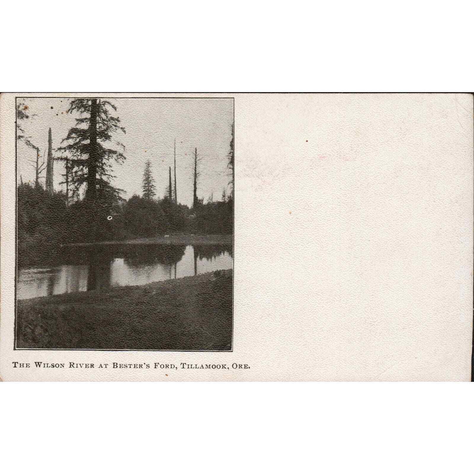 Wilson River at Bester\'s Ford Lithography Tillamook Oregon Postcard 1908