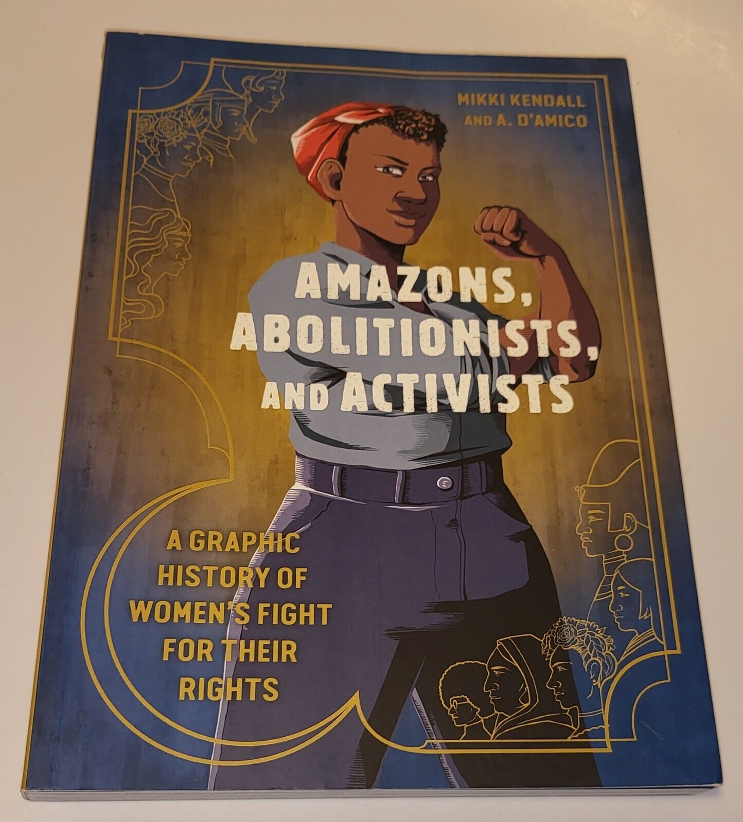 Amazons, Abolitionists, and Activists A Graphic History Women's Fight for Rights