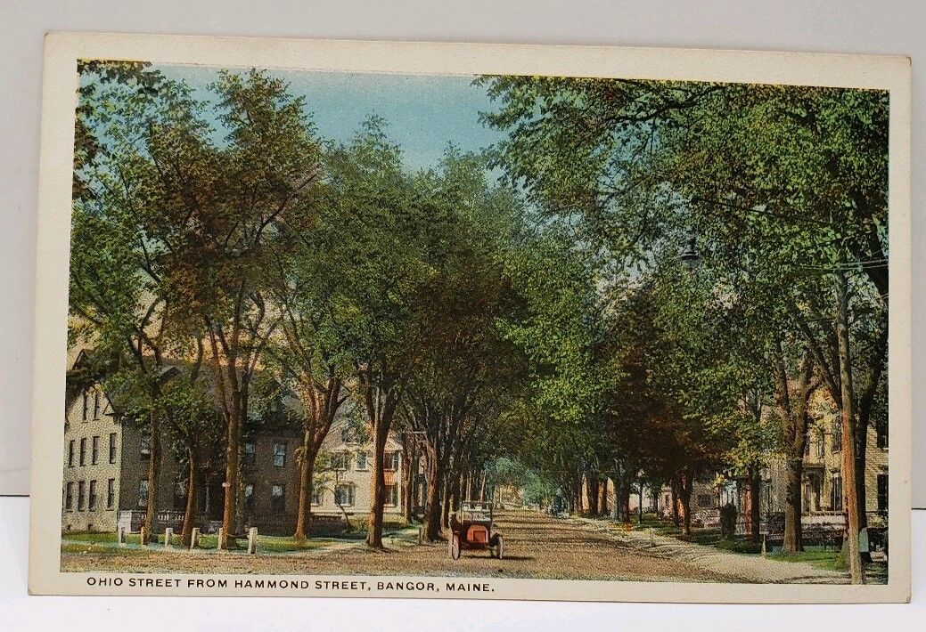 Bangor Maine Ohio Street from Hammond Street Vintage Postcard A20
